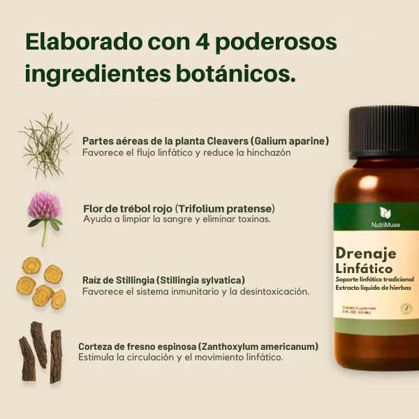 Siéntete más ligero y fresco en tan solo 3 días con NutriMuse.